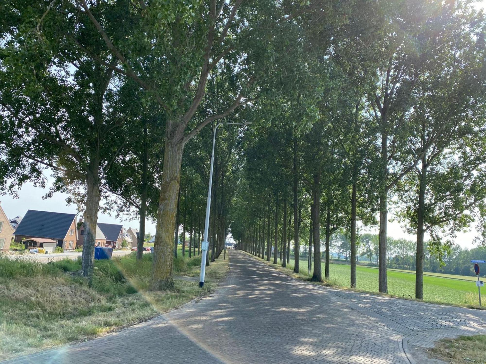 Krabbenkreek 2 Sint-Annaland Exterior foto