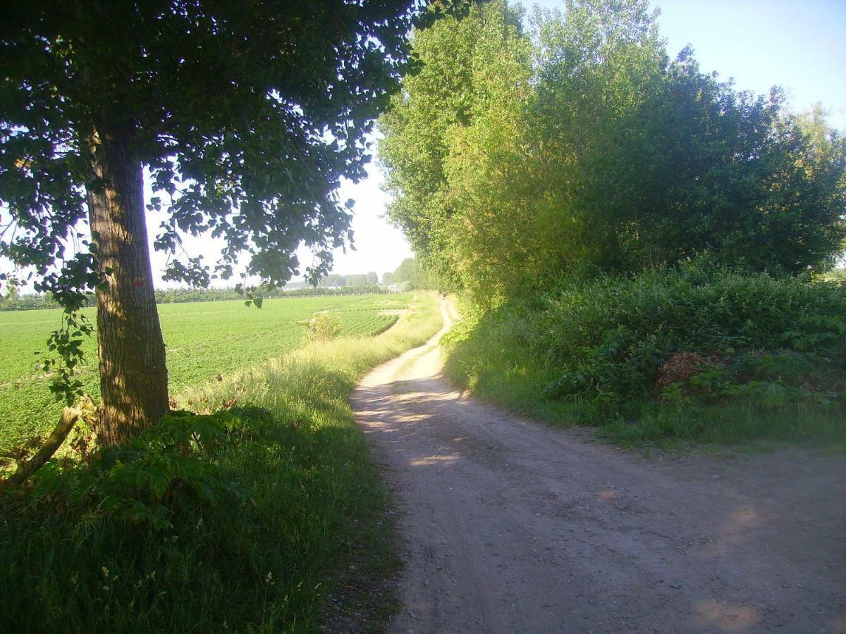 Krabbenkreek 2 Sint-Annaland Exterior foto
